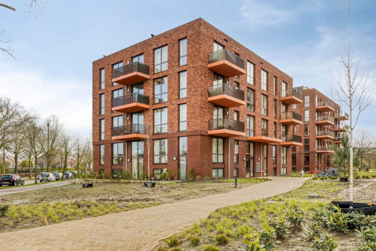 free-sector-houses for rent on Cosunpark