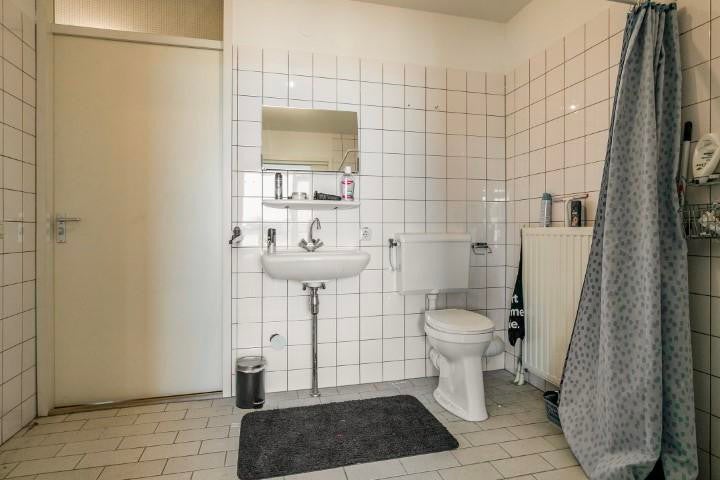 Van Leeuwenhoeklaan