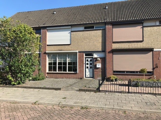 Anjerstraat