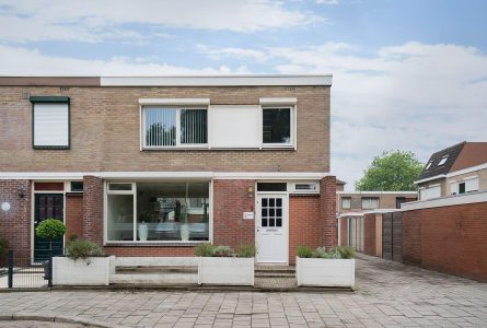 Paddestoelstraat