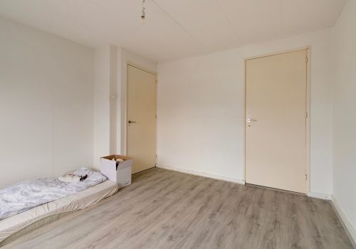 Paddestoelstraat