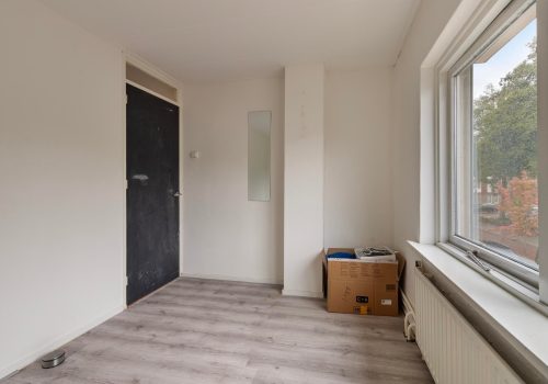 Paddestoelstraat