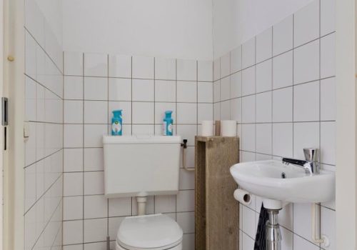 Van Leeuwenhoeklaan