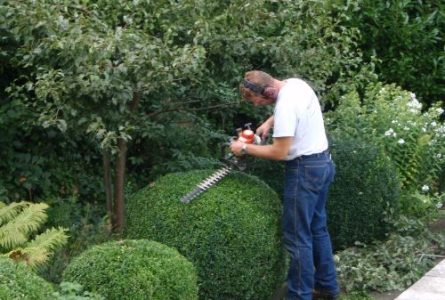 tuinonderhoud