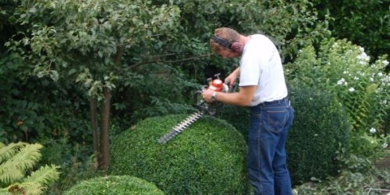 tuinonderhoud
